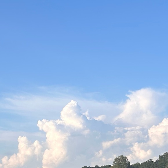 Nothing - Picture 3 of 3